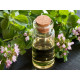 Amazing Herbs Oregano Pure Essential Oil 30ml