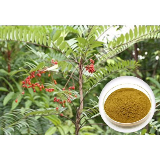 Amazing Herbs Tongkat Ali Express 100% Pure Raw Powder 120g