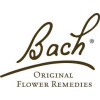 Bach Rescue Remedies