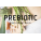 Prebiotic