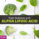 Alpha Lipoic Acid ALA 300mg - Blood Sugar Support