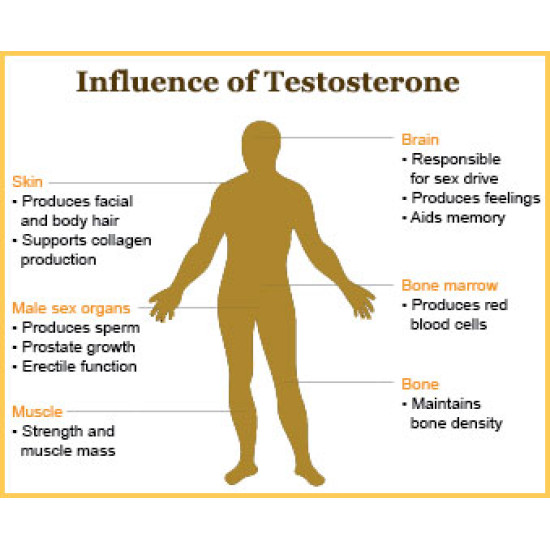 Testosterone 500