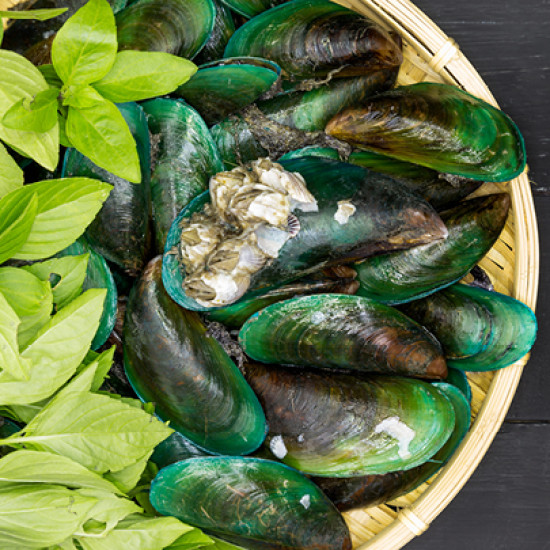 NZ Green Lipped Mussel 5600