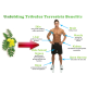 Tribulus Terrestris Natural Testosterone Booster