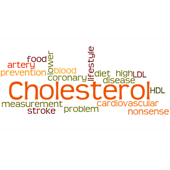 Sanderson Cholesterol FX 90 Capsules