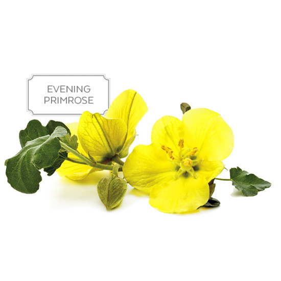 Sanderson Pure & Natural Evening Primrose Oil 1000mg 220 Capsules