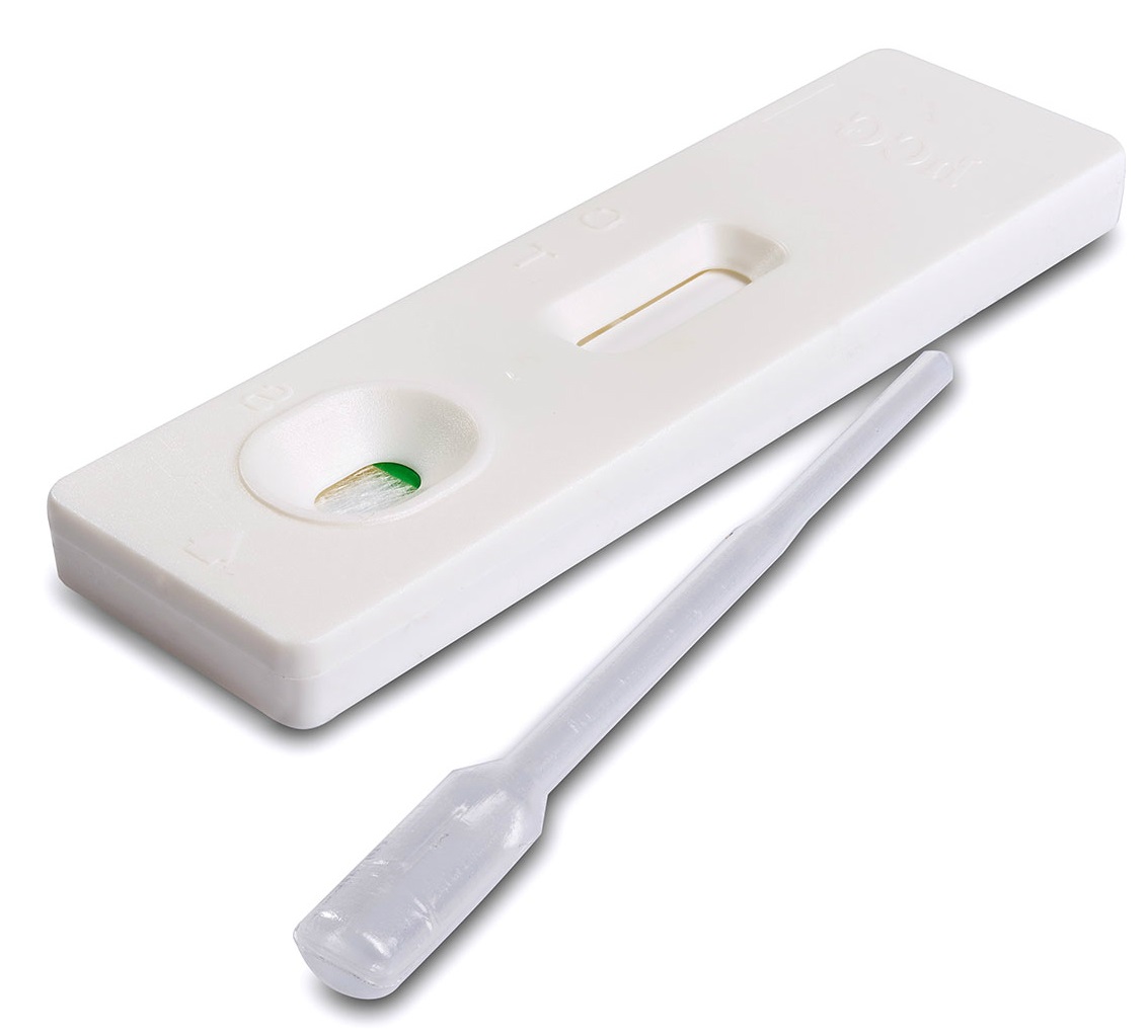 David One Step Cassette Pregnancy Test