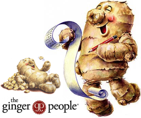 Gin Gins The Ginger People logo